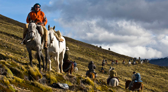 site Cabalgatas