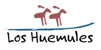 logo Huemules