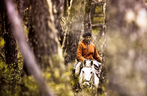 Sendero al Bosque Leñero